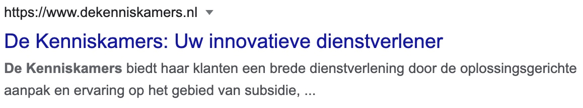 Google zoekresultaat van de website www.dekenniskamers.nl